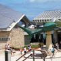 たのしかった沖縄旅行！！　３日目。　　～　美ら海水族館を満喫スル！　～