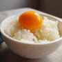 冷凍卵で作る［このニュース得する人］卵かけご飯が濃厚・クリーミー過ぎる