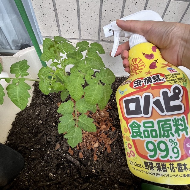 アースガーデン ロハピ 