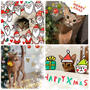 Merry クリスニャス🐾