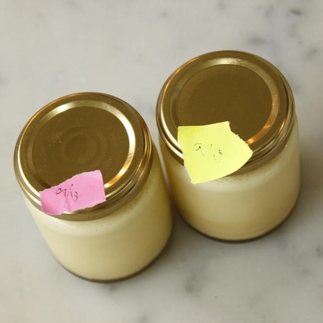【賞味期限】1ヵ月保存したプリンを細菌検査