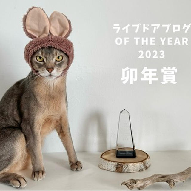 「ライブドアブログ OF THE YEAR 2023」卯年賞をいただきましたꪔ̤