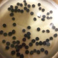 黒豆煮