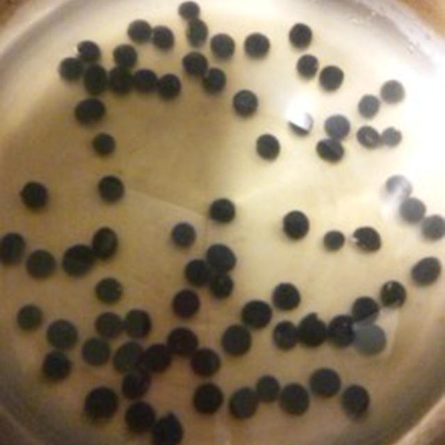 黒豆煮