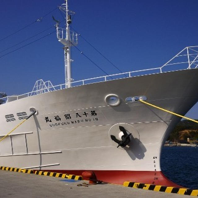 気仙沼：遠洋まぐろ延縄船「第十八昭福丸」に体験乗船してきました！