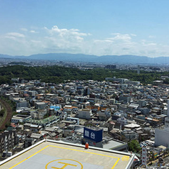 ”勝手ながら”にリベンジしてポルトガル料理など
