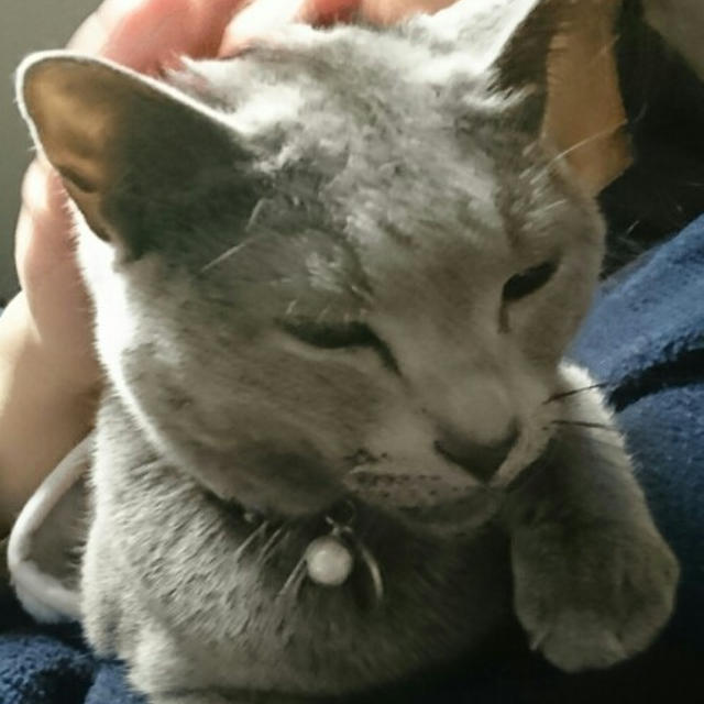 【小梅・さくら通信】ナデナデ大好き