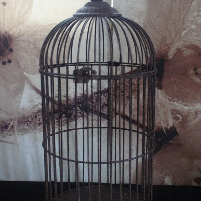 鳥かご他お買い物♪＠Display museaum