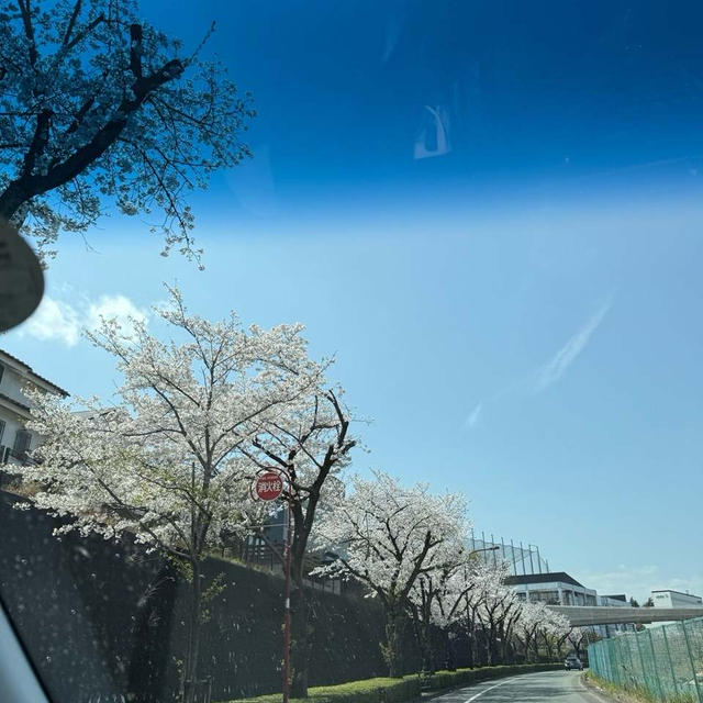 人生初！念願のコストコへ♡