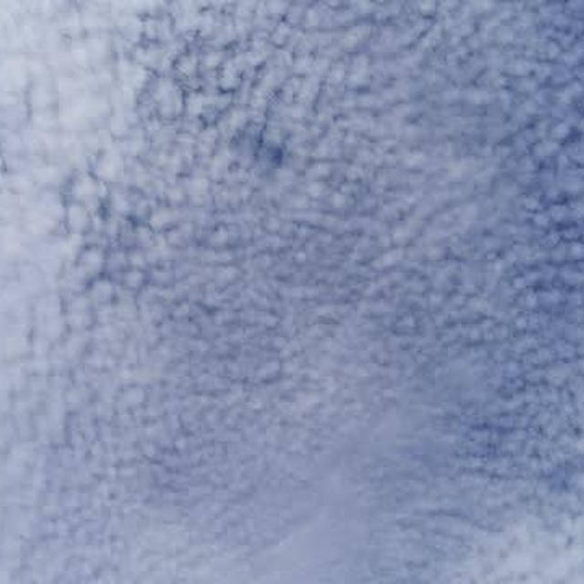 これは何雲？ウロコ雲？