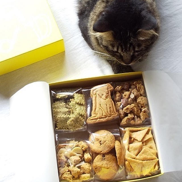 フードムードのクッキーBOX