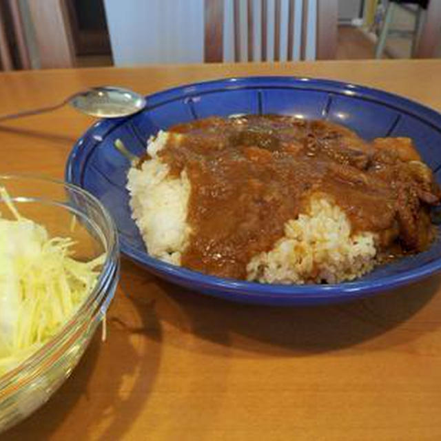 おかんのごぼうカレー