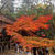 京都の秋♪南禅寺周辺の紅葉を見に行ってきました。