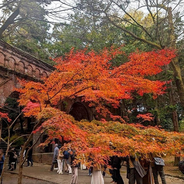 京都の秋♪南禅寺周辺の紅葉を見に行ってきました。