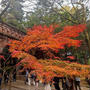 京都の秋♪南禅寺周辺の紅葉を見に行ってきました。