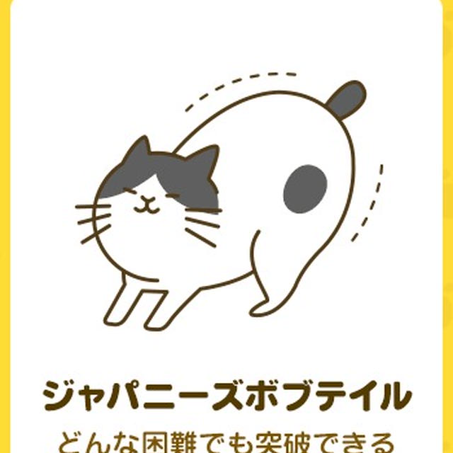 ねこ診断キャンペーン
