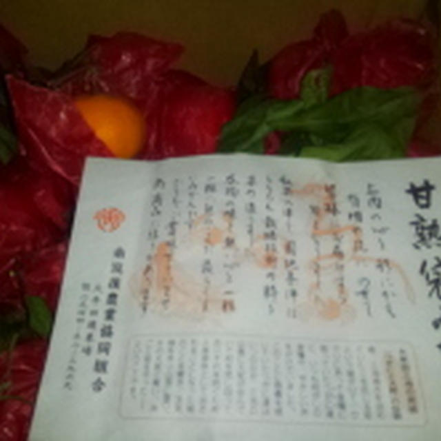 頂き物