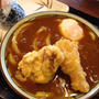 鶏天カレーうどん