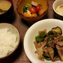 茄子とピーマンと豚肉の味噌炒め
