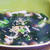 Diet＊しめじとセロリ入りわかめスープ