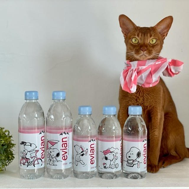 「エビアン×スヌーピー」コラボの500mlも見つけた♪&ひめちゃんキャンディー