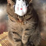* Poko - Okame♥