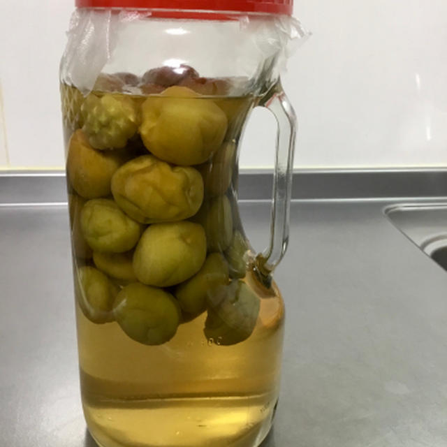今年の梅酒はスコッチウイスキーで仕込む