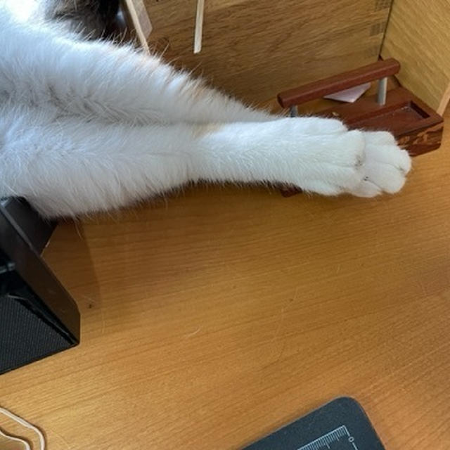 私も好きにしよ～。