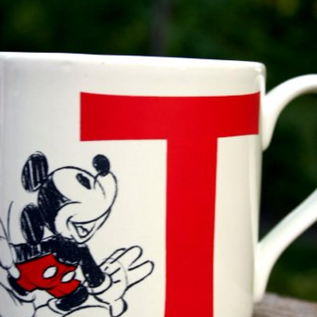 What I brought back from Disney World…ディズニーワールドで買ったもの。。。