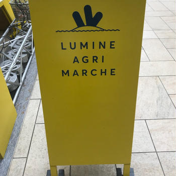 LUMINE AGRI MARCHE