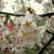 花見でもしますか　・　・　・の話