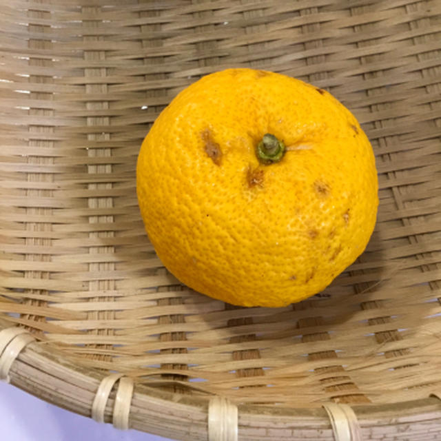 今日は冬至