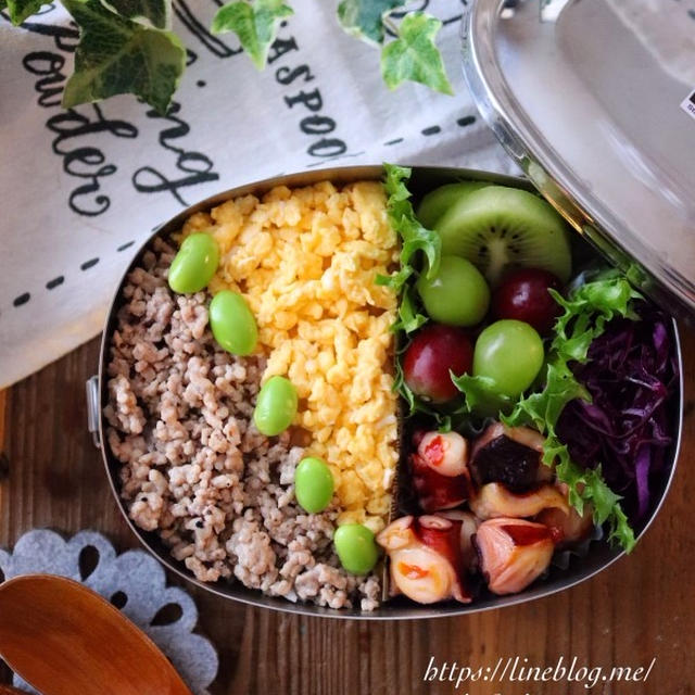 塩そぼろと炒り卵の２色弁当【本日のお弁当】そぼろ弁当の詰め方のコツ