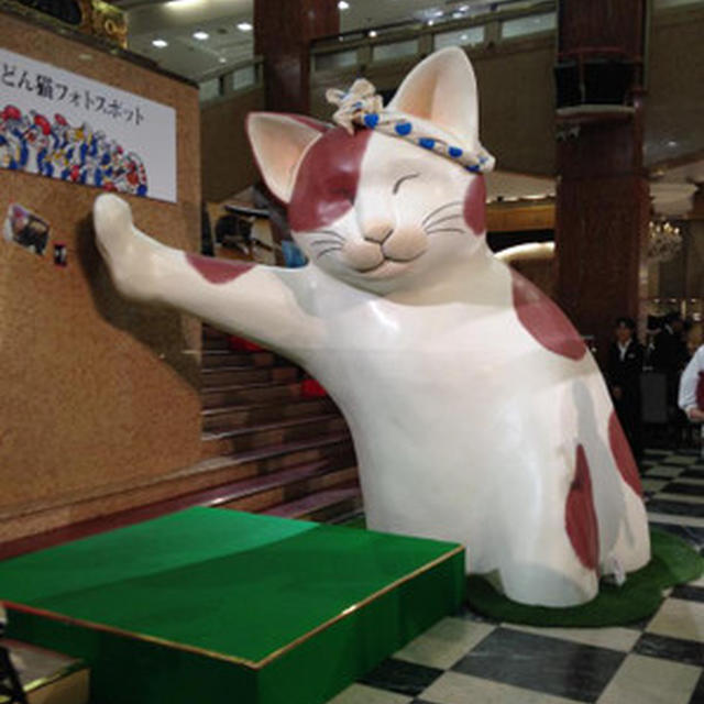 全館ねこづくし