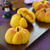 かぼちゃパン（かぼちゃあん入り）。【あんは混ぜるだけ】ハロウィンにも☆