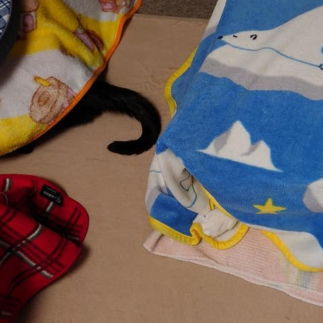 どこに入っているか分かるようになっています