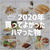 2020年 買ってよかった♡ハマった物。