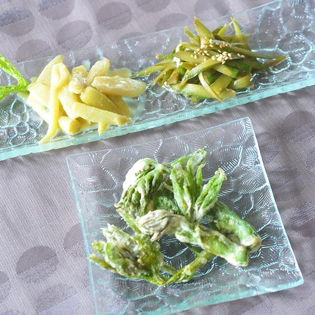 うどの若芽の天ぷら 皮のきんぴら 酢味噌和え＆多肉植物