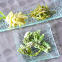 うどの若芽の天ぷら 皮のきんぴら 酢味噌和え＆多肉植物