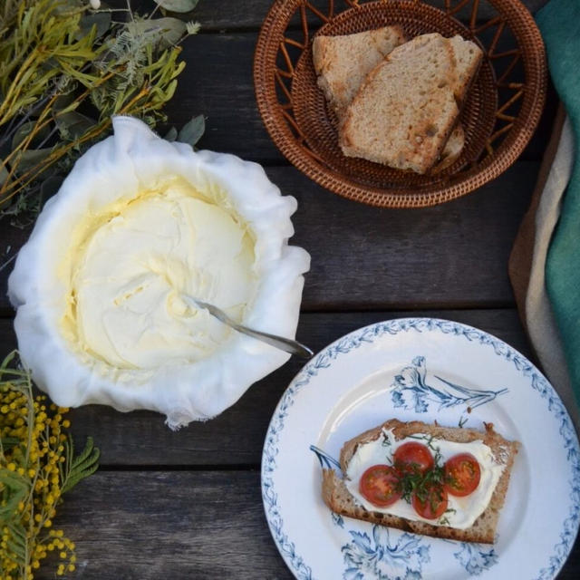 Homemade Mascarpone Cheese 自家製マスカルポーネチーズ