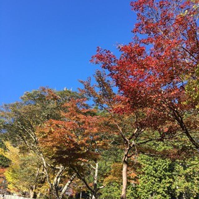 高野山は紅葉ちゅ〜