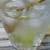 レシピサワードリンク酢