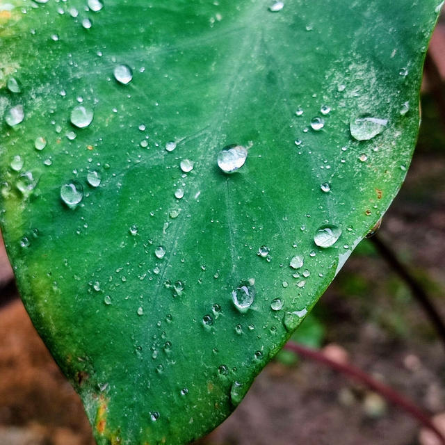 童心にかえる…