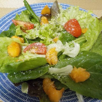 レタスとアプリコットのサラダと収穫のあんず