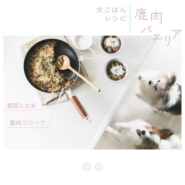 犬ごはんレシピ フライパンで作れる鹿肉の簡単パエリア 手作りドッグフード By 犬ごはん先生 いちかわあやこさん レシピブログ 料理ブログの レシピ満載