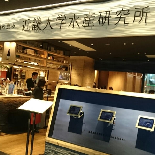 近畿大学水産研究所～近大まぐろランチ～　グランフロント大阪店