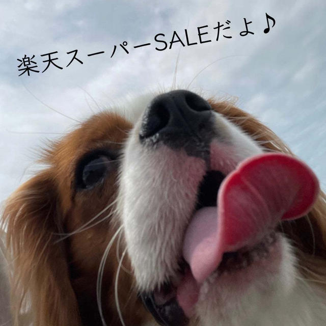 楽天スーパーSALE、ポチったものたち。