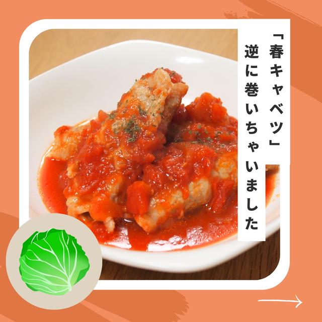 春キャベツで逆ロールキャベツ