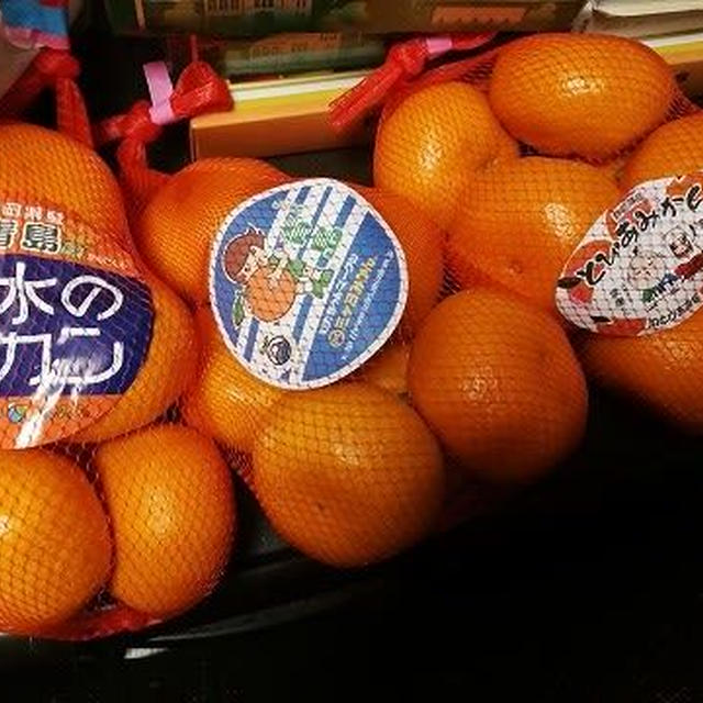 ３種の静岡みかんを食べ比べ #清水のミカン #とぴあみかん #三ケ日みかん 