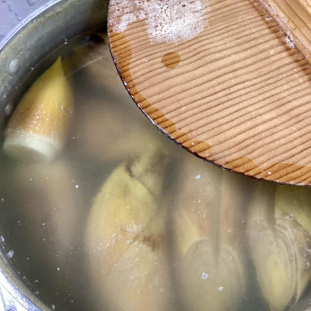 初物というには早すぎないか、たけのこいただきました
